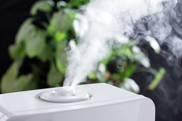Can-You-Use-a-Humidifier-in-an-RV