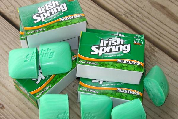 Does-Irish-Spring-Keep-Mice-Out-of-Campers-Helpful-Guide