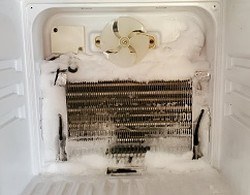 Everchill-Freezer-Cold-Fridge-Warm