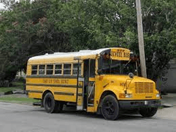 Different-Sizes-Of-School-Buses