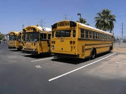 What-Is-The-Biggest-Type-Of-School-Bus
