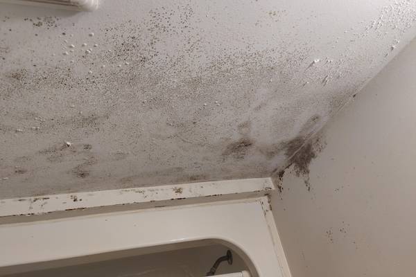 How-To-Clean-Carpet-Ceiling-(Mold-and-Stains-on-RV-Ceiling)