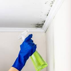 How-To-Clean-Mold-on-RV-Ceiling