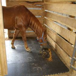 What-Can-I-use-To-Cut-Horse-Stall-Mats