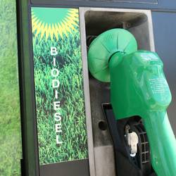 What-is-Biodiesel-Fuel