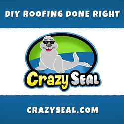 How-Much-Does-Crazy-Seal-Cost