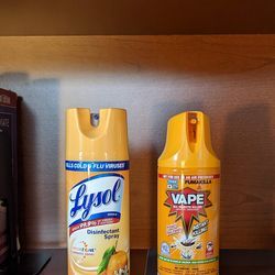 Can-I-Kill-a-Bee-With-Lysol