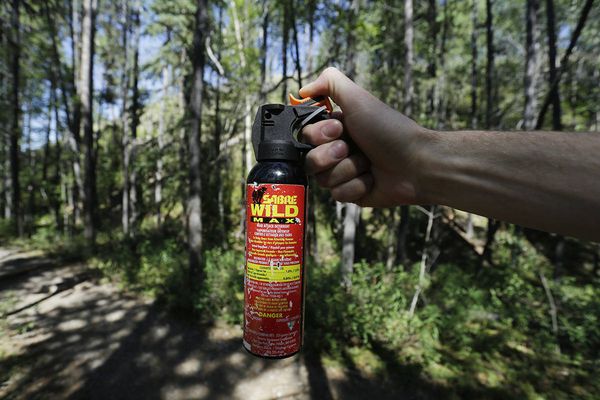 Can-You-Bring-Bear-Spray-Into-Canada-(Helpful-Guide)