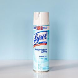 Can-You-Use-Lysol-To-Kill-Flies