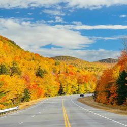 Is-Route-4-in-Vermont-Scenic