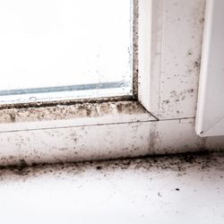What-Causes-Mold-in-a-Camper