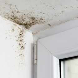 What-Kills-Mold-in-a-Camper