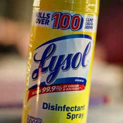 Why-Does-Lysol-Kill-Flies